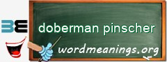 WordMeaning blackboard for doberman pinscher